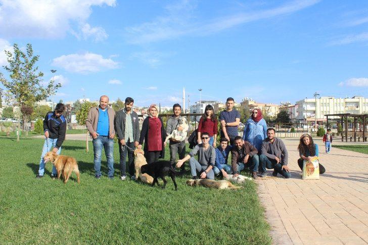 Sokak hayvanlarını yalnız bırakmıyorlar G1