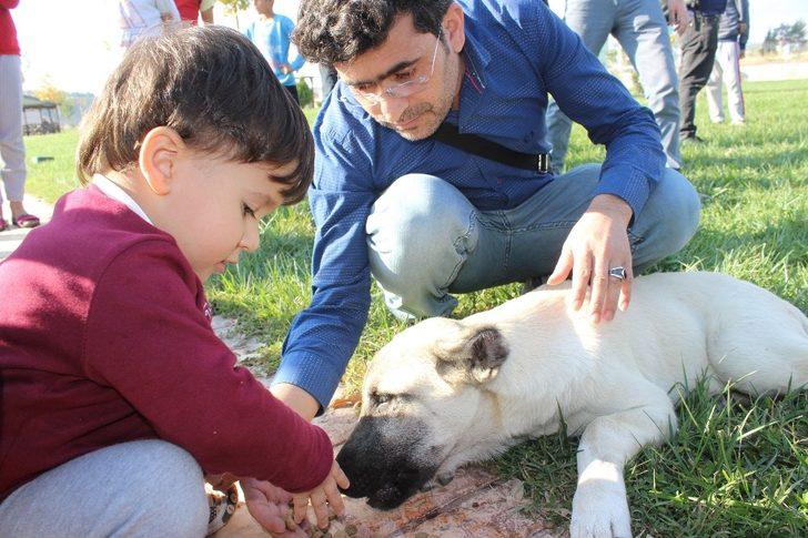 Sokak hayvanlarını yalnız bırakmıyorlar G3