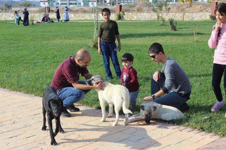 Sokak hayvanlarını yalnız bırakmıyorlar G4