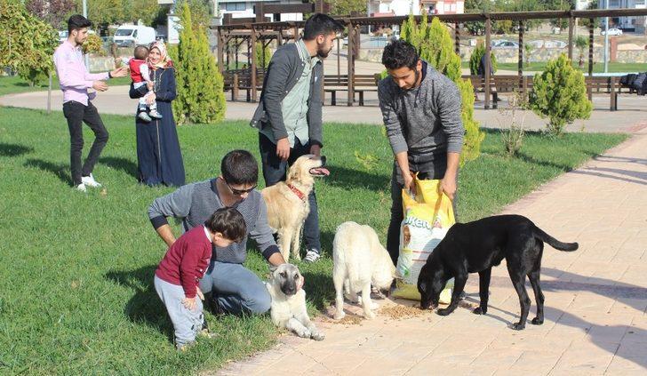 Sokak hayvanlarını yalnız bırakmıyorlar G5