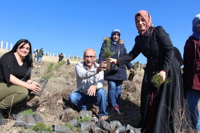 KYK’lı öğrenciler bin fidanı toprakla buluşturdu