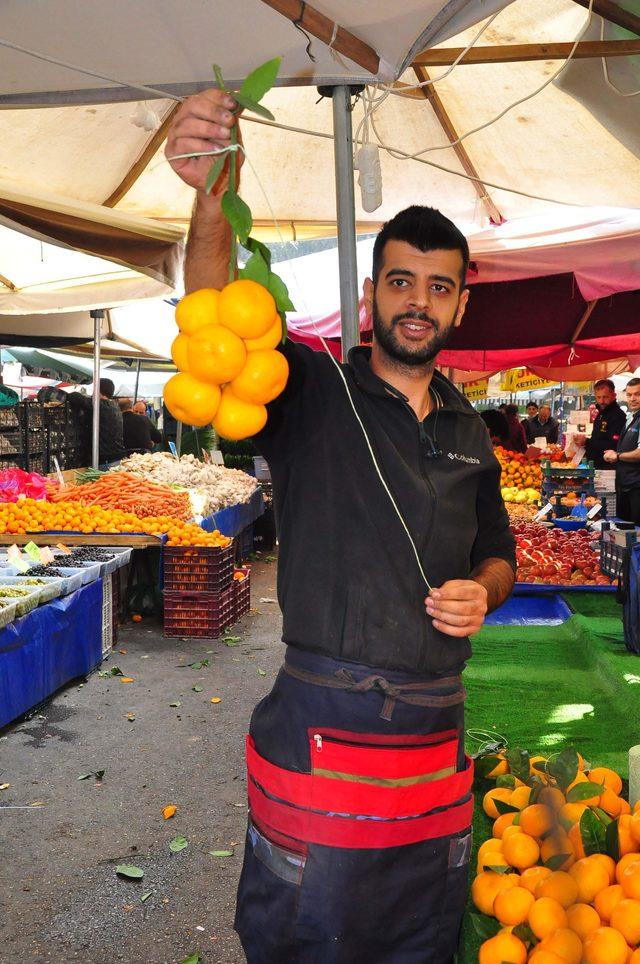 Avokadonun tanesi 10 liradan 3 liraya düştü