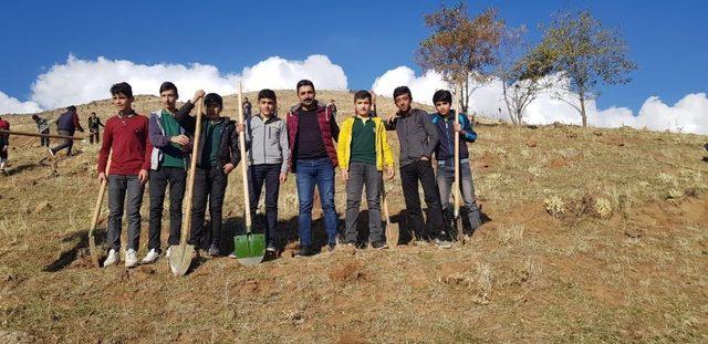 Solhan’da öğrenciler fidan dikti