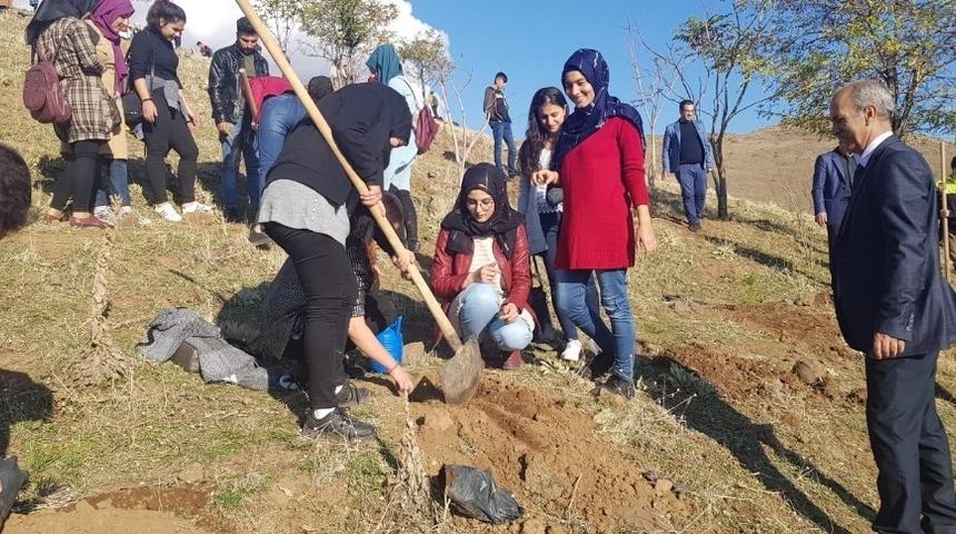 Solhan&rsquo;da &ouml;ğrenciler fidan dikti