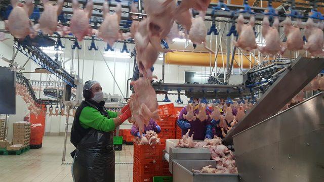 Japonlar, tavukta aradığı lezzeti Bursa'da buldu