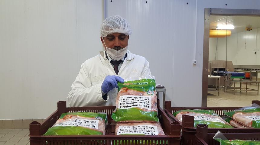 Japonlar, tavukta aradığı lezzeti Bursa'da buldu