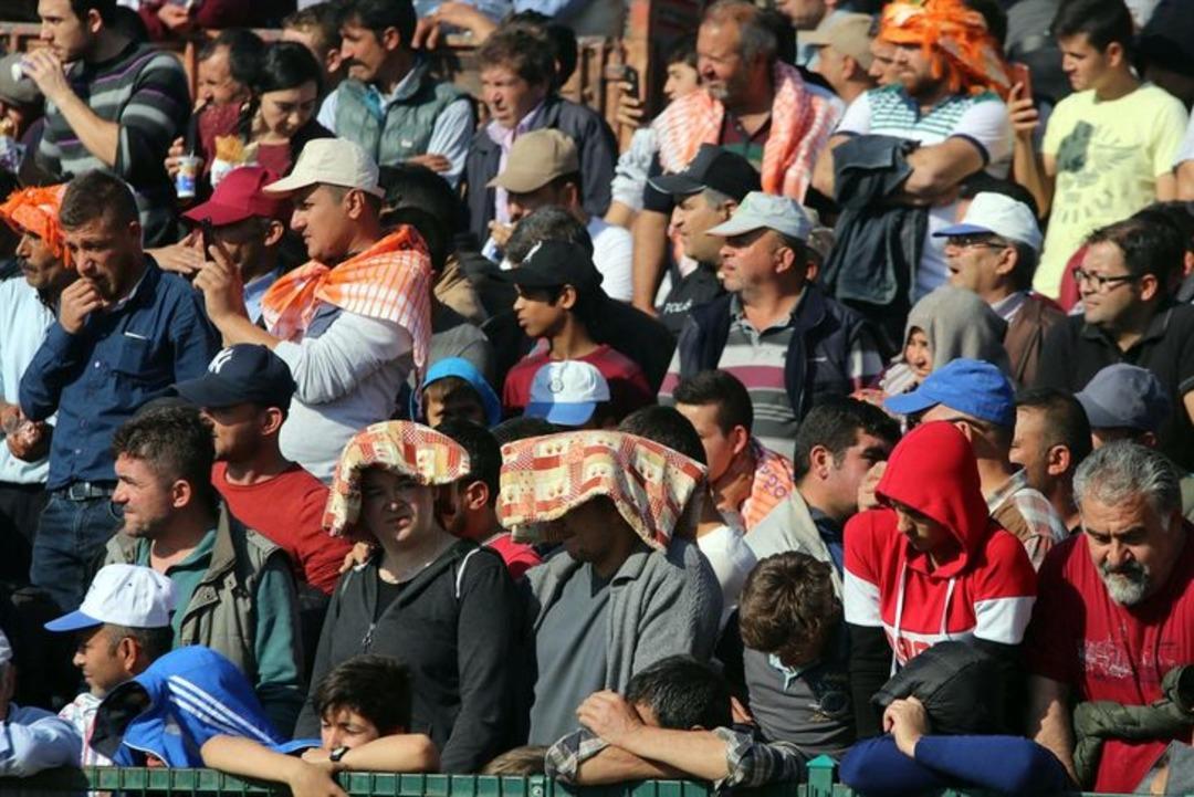 Sultanhisar'da boğa g&uuml;reşleri heyecanı 