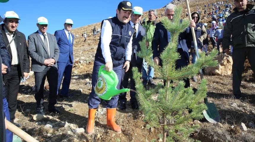 ‘Fidanlar, fidanlarla büyüyecek’ projesi ile 150 bin fidan toprakla buluştu