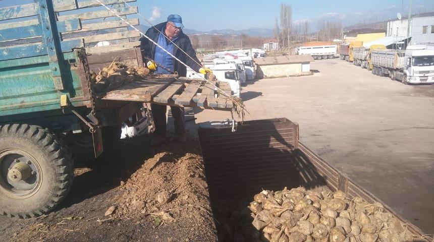 Hisarcık’ta 500 ton şeker pancarı üretildi