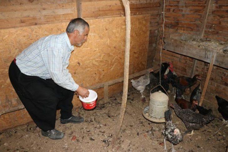 Şehirden kaçıp doğaya yerleşen Özdemir ailesinin tek isteği... G4