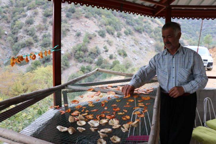 Şehirden kaçıp doğaya yerleşen Özdemir ailesinin tek isteği... G5