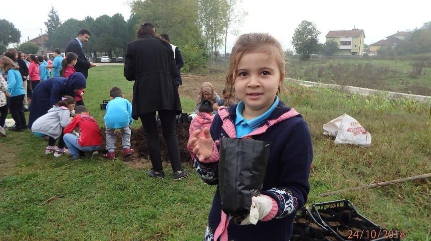 Minikler meşe palamudu dikti