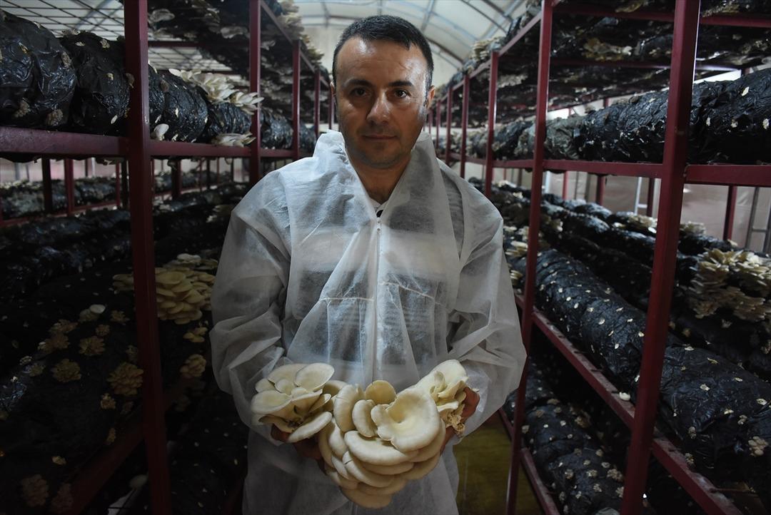 Hibe desteğiyle aylık 5 bin lira gelirli iş kurdu