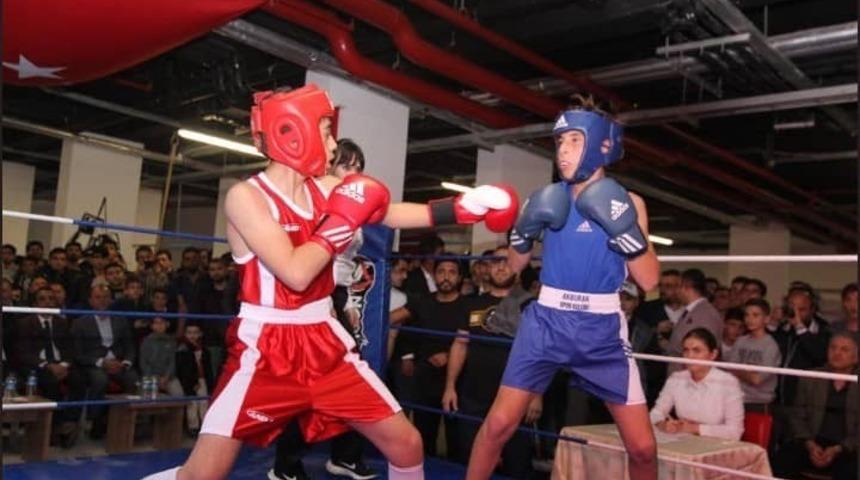 Şehit Kaymakam Safit&uuml;rk anısına d&uuml;zenlenen Boks Turnuvası&rsquo;ndan Bilecikli sporculardan b&uuml;y&uuml;k başarı