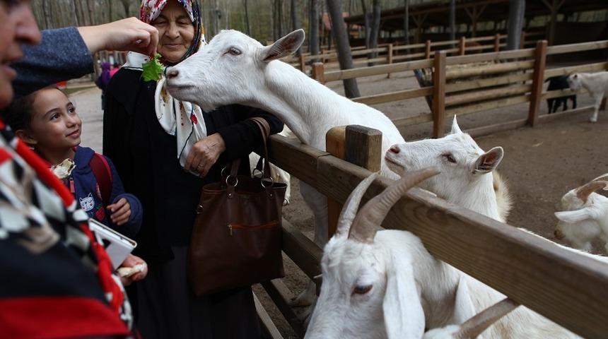 Engelsiz y&uuml;rekler Ormanya&rsquo;yı gezdi