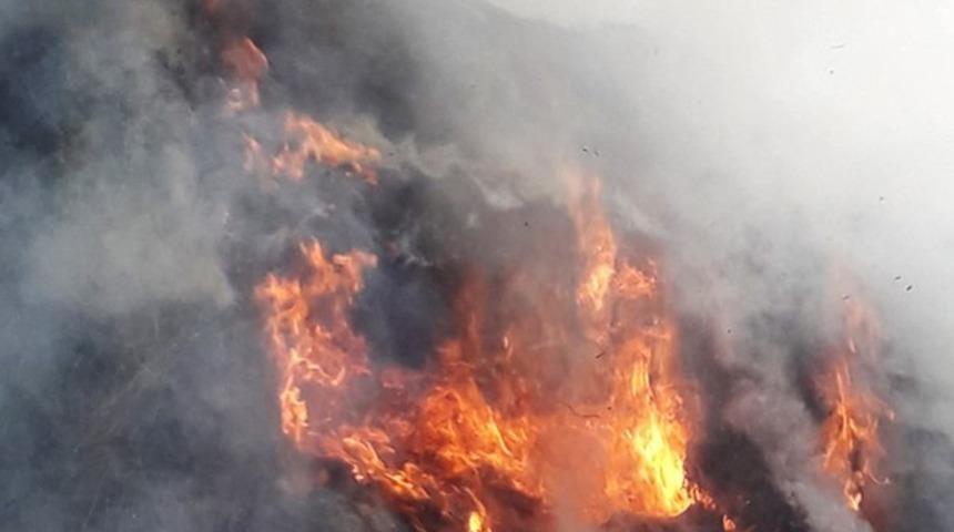 Başkale&rsquo;de 5 bin bağ ot yandı